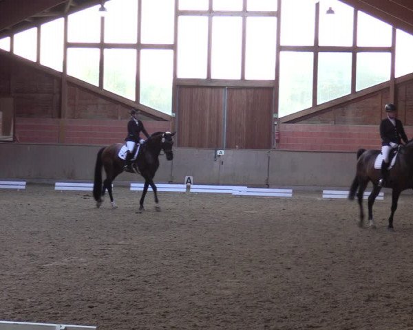 Reitturnier Dortmund-Barop 2023