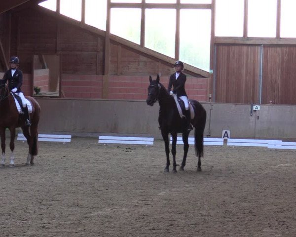 Reitturnier Dortmund-Barop 2023