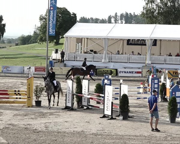 Reitturnier Humlikon 2023