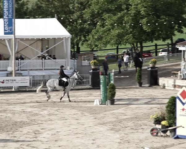 Torneo Equestre Humlikon 2023