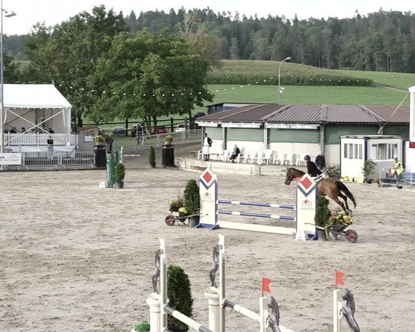 Reitturnier Humlikon 2023