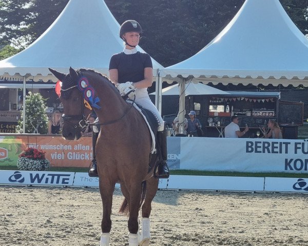 dressage horse Venicia OLD (Oldenburg, 2016, from Vivaldi)
