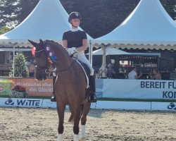 dressage horse Venicia OLD (Oldenburg, 2016, from Vivaldi)