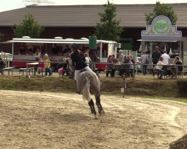 Reitturnier Dortmund-Barop 2021