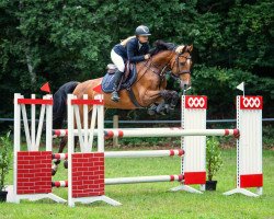jumper Cholena (Hanoverian, 2015, from Casiro I)