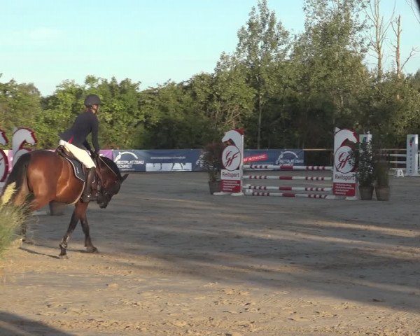 Reitturnier Scharnebeck 2023
