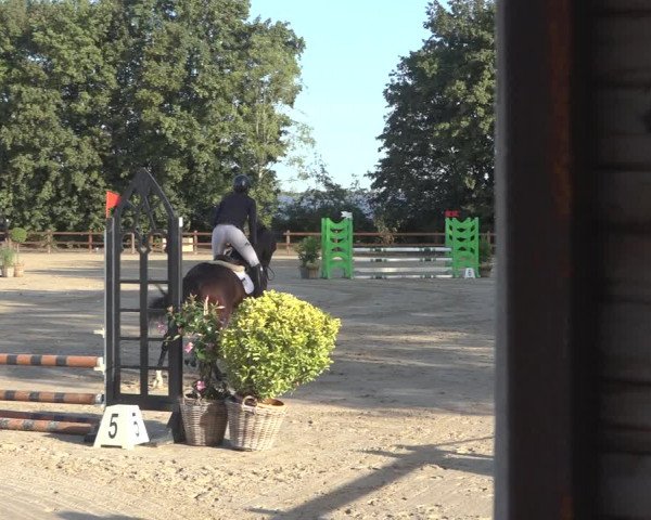 Reitturnier Scharnebeck 2023
