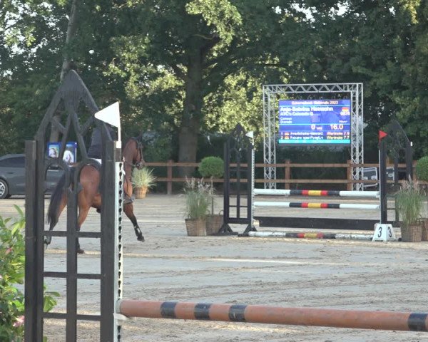 Reitturnier Scharnebeck 2023