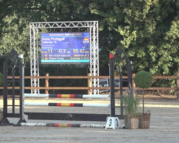 Reitturnier Scharnebeck 2023