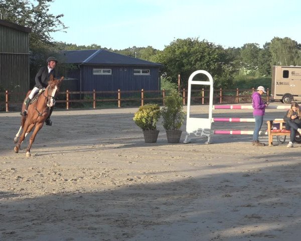 Reitturnier Scharnebeck 2023