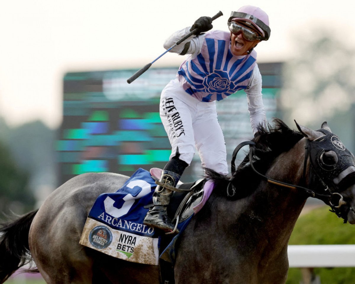 horse Arcangelo xx (Thoroughbred, 2020, from Arrogate xx)