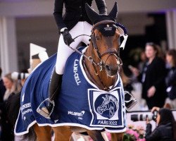 jumper Escorial K (Oldenburg, 2011, from Chaccos' Son)