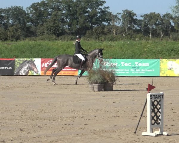 Reitturnier Scharnebeck 2023