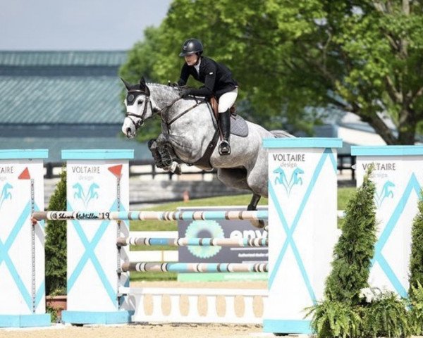 jumper Quentina (Estonian Sport, 2011, from Quality Time)