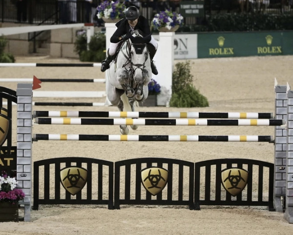 broodmare Beezie (KWPN (Royal Dutch Sporthorse), 2006, from VDL Cardento 933)
