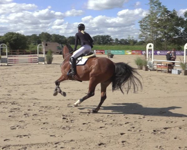 Reitturnier Scharnebeck 2023