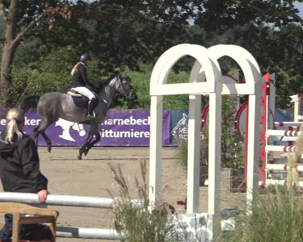 Reitturnier Scharnebeck 2023