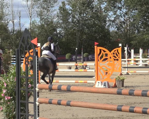 Reitturnier Scharnebeck 2023