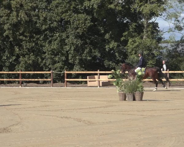 Reitturnier Scharnebeck 2023
