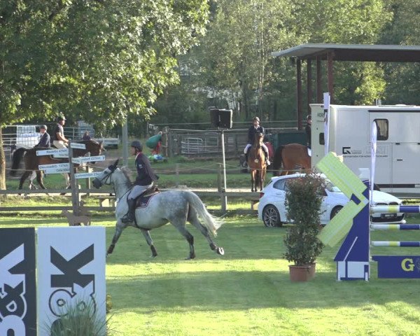 Reitturnier Scharnebeck 2023