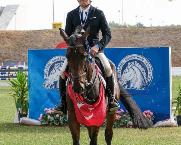horse Lavita (KWPN (Royal Dutch Sporthorse), 2016, from I'm Special de Muze)