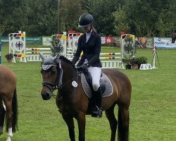 jumper Viller Belle Fleur (Connemara Pony, 2014, from TC Bourbon Boy)