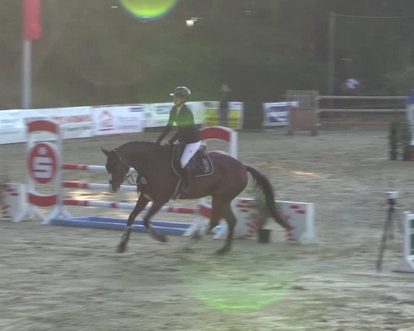 Reitturnier Albersloh 2023