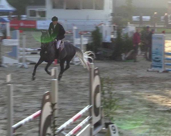 Reitturnier Albersloh 2023