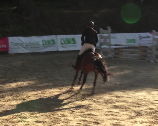 Reitturnier Albersloh 2023