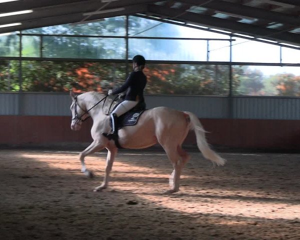 Reitturnier Marl, Hof Ostgathe 2023