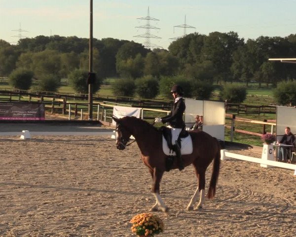 Reitturnier Marl, Hof Ostgathe 2023