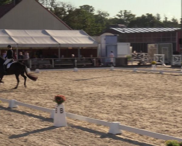 Reitturnier Marl, Hof Ostgathe 2023
