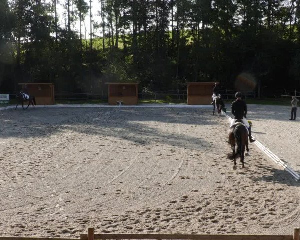 Reitturnier Ditzingen 2023
