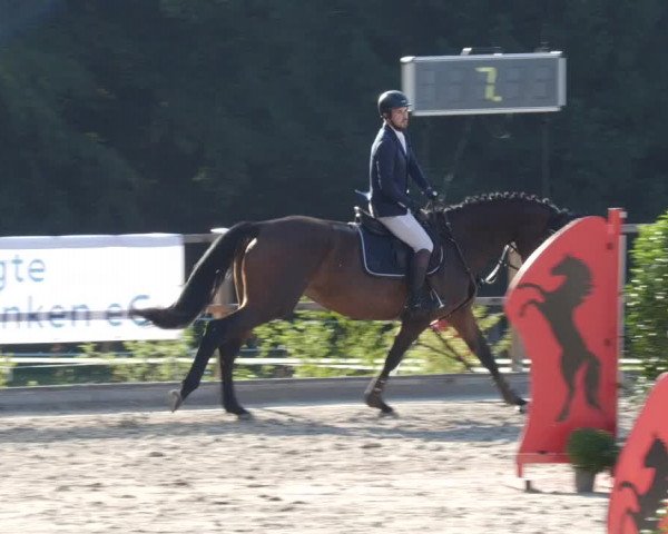 Reitturnier Waldenbuch-Hasenhof 2023