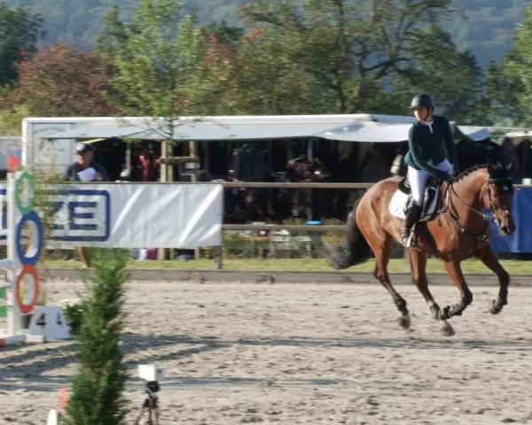 Reitturnier Waldenbuch-Hasenhof 2023