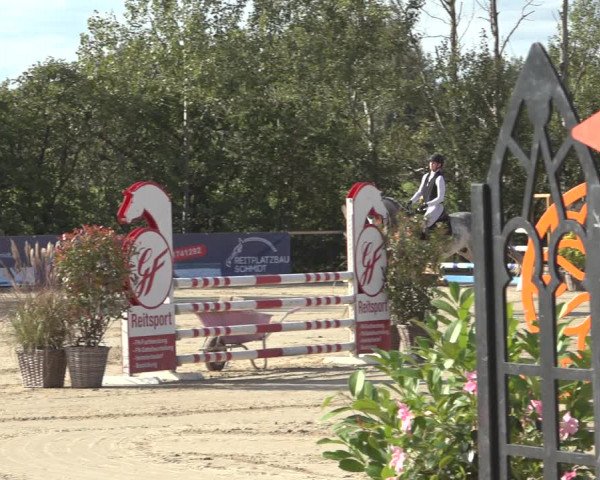Reitturnier Scharnebeck 2023