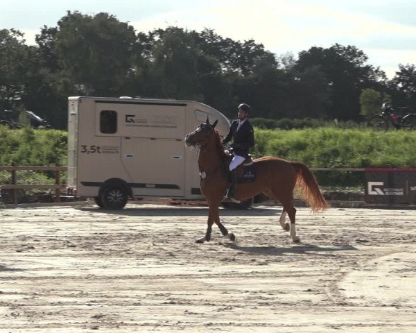 Reitturnier Scharnebeck 2023