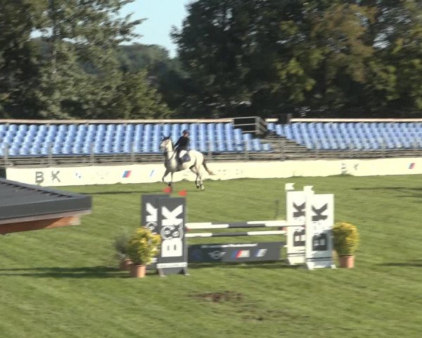 Reitturnier Scharnebeck 2023
