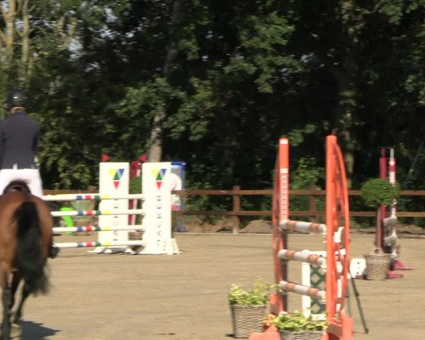 Reitturnier Scharnebeck 2023