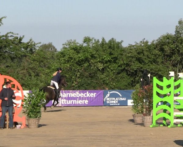 Reitturnier Scharnebeck 2023