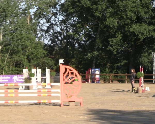 Reitturnier Scharnebeck 2023