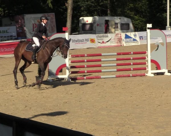 Reitturnier Buchenhof-Ibbenbüren 2023