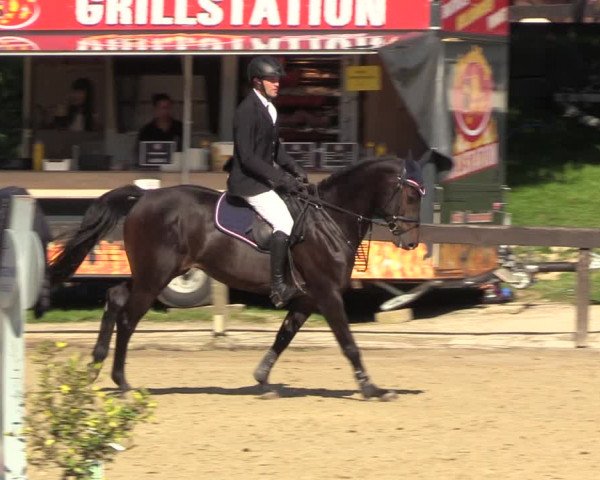 Reitturnier Buchenhof-Ibbenbüren 2023