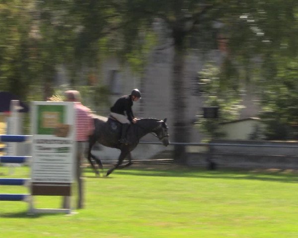 Reitturnier Altmittweida 2023