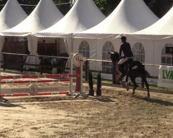 Reitturnier Albersloh 2023