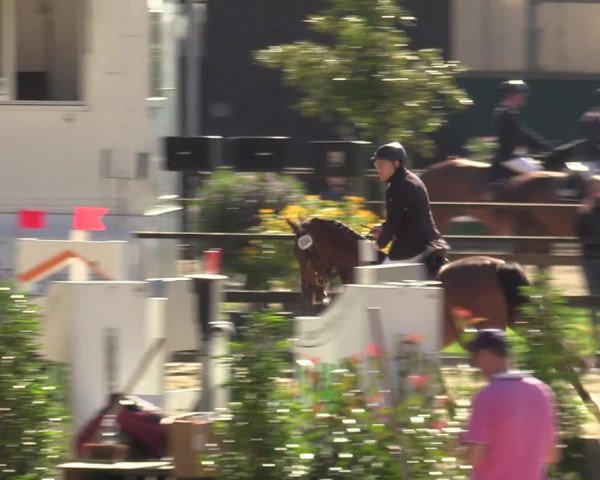 Reitturnier Albersloh 2023