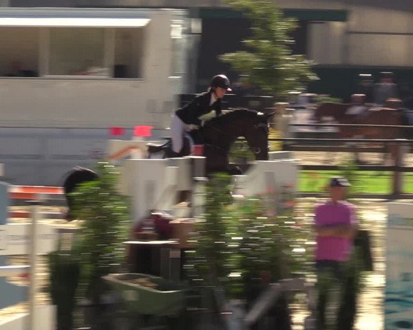 Reitturnier Albersloh 2023