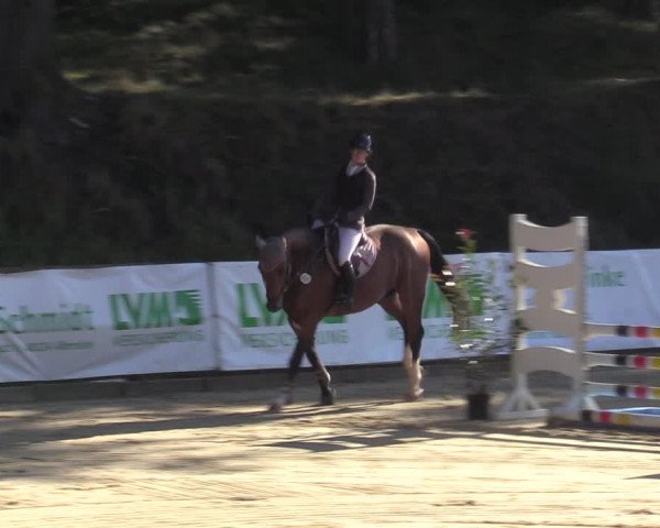 Reitturnier Albersloh 2023
