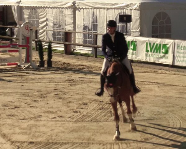 Reitturnier Albersloh 2023