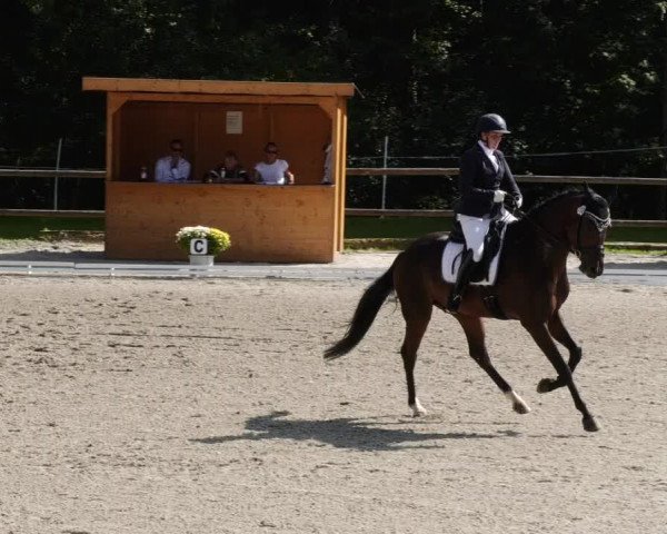 Reitturnier Ditzingen 2023